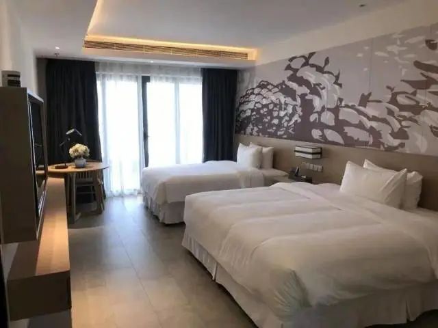 旅游新闻