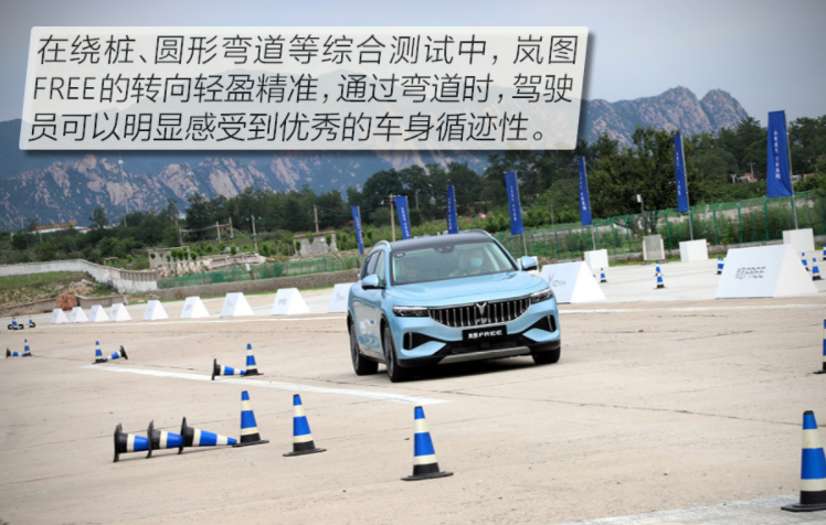 岚图汽车